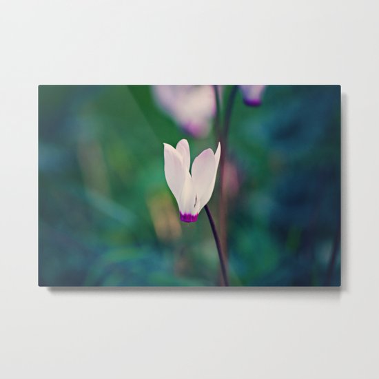Wild Cyclamen Metal Print