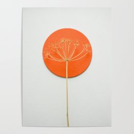 Orange circle and dried flower Poster