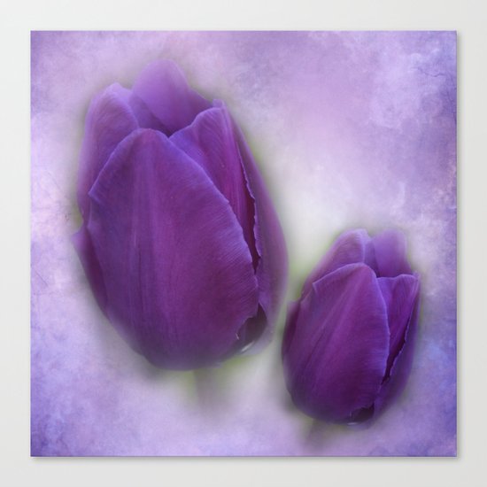 tulips on marble background Canvas Print