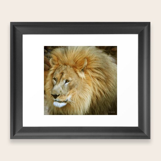 Poof Do Framed Art Print