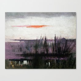 Abbott Handerson Thayer -The Sky Simulated by White Flamingoes Canvas Print