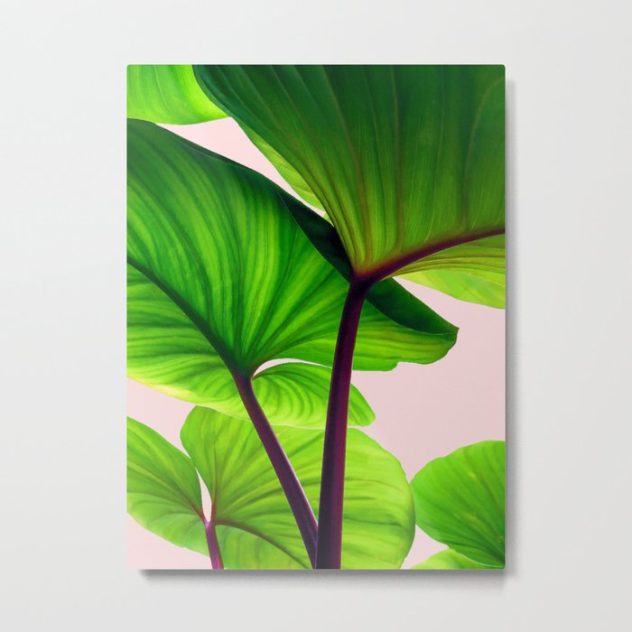 Charming Sequence Nature Art #society6 #lifestyle #decor Metal Print