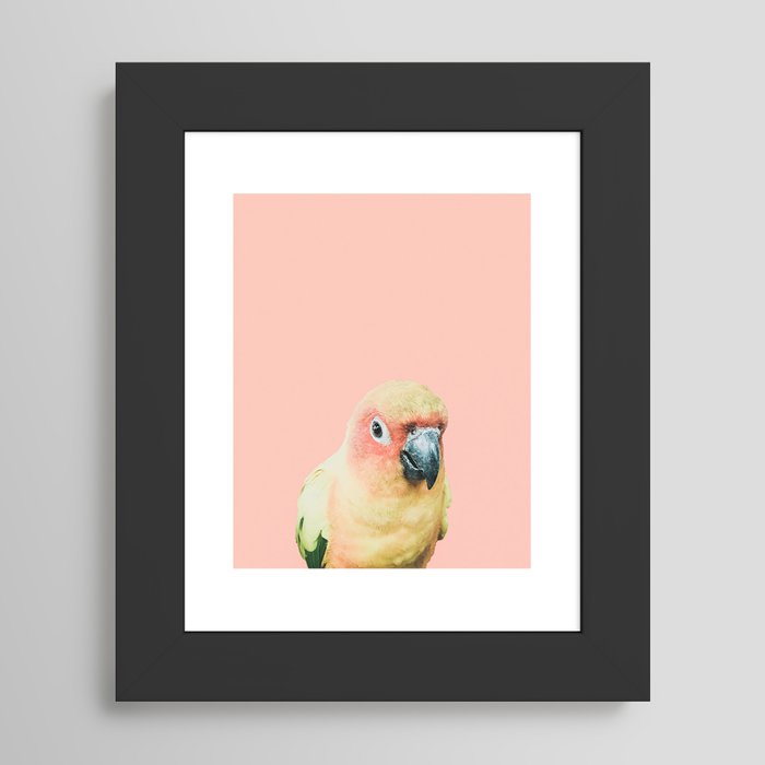 Framed Art Print