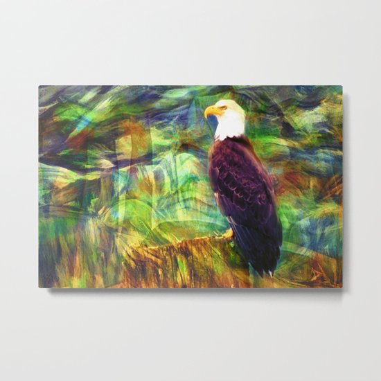 West Coast Eagle Metal Print