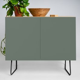 GREEN SMOKE SOLID COLOR. Plain Dusty Green  Credenza