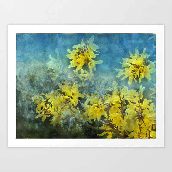 Dramatic Forsythia Art Print