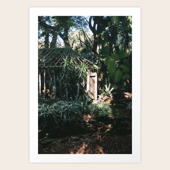 Into the green Art Print