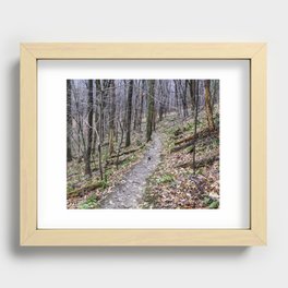 winter forest Recessed Framed Print