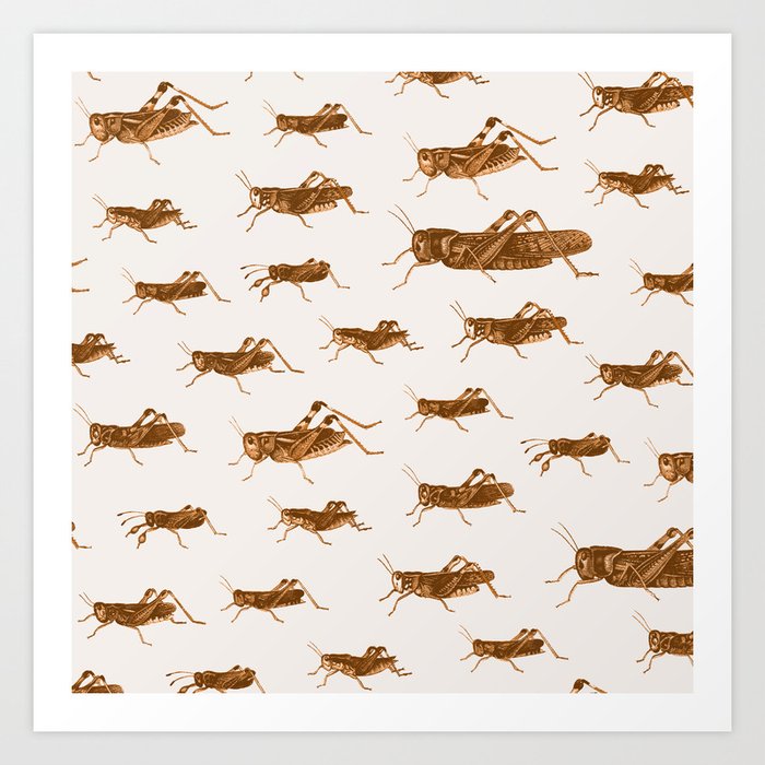 Crickets Art Print