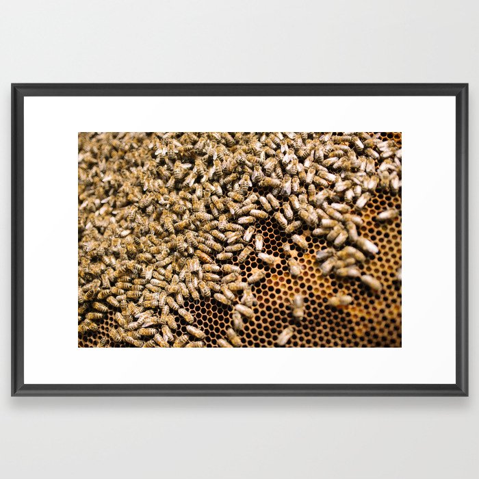 beekeeping composition no.1 Framed Art Print