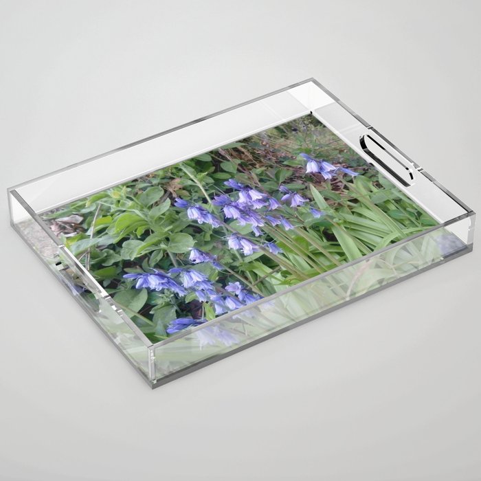 Soft flower 45 : blue flower Acrylic Tray