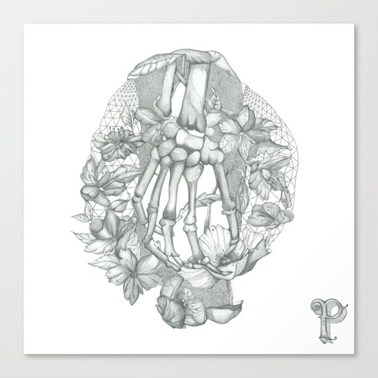 P O P P Y Canvas Print