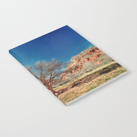 Sun desert tree Notebook
