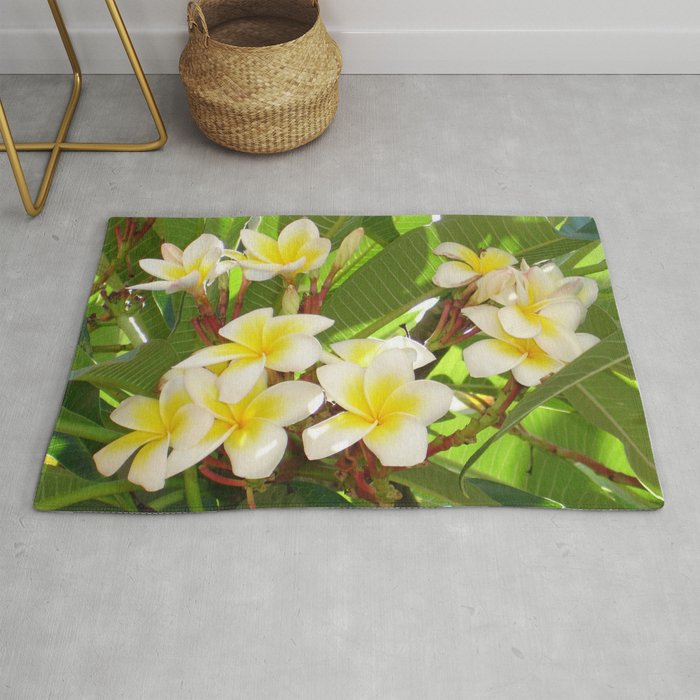 White and Yellow Frangipani Flowers with Leaves in Background  Rug