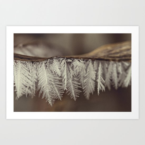 frost Art Print