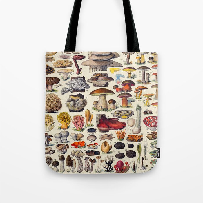 Adolphe Millot Mushroom Larousse Vintage Scientific Encyclopedia