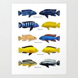 Malawi Art Prints For Any Decor Style Society6
