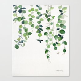 Eucalyptus Watercolor 2  Canvas Print