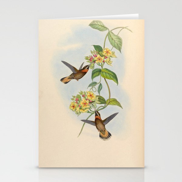 Pale-tailed Barbthroat Hummingbird by John Gould, 1861 (benefitting the Nature Conservancy) Stationery Cards