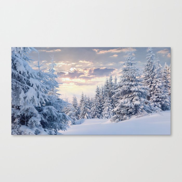 Snow Paradise Canvas Print