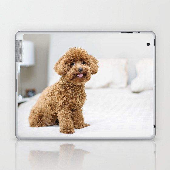 Isolated Cute Avatar Poodle Dog Breed 12 Laptop & iPad Skin