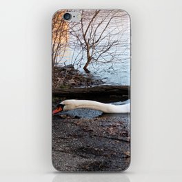 Not Your Usual Swan Photo iPhone Skin