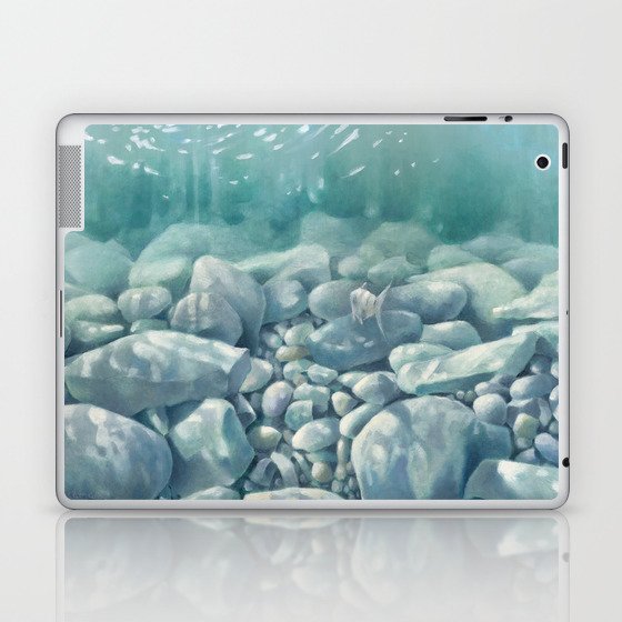 Vermont Stream Bed Laptop & iPad Skin
