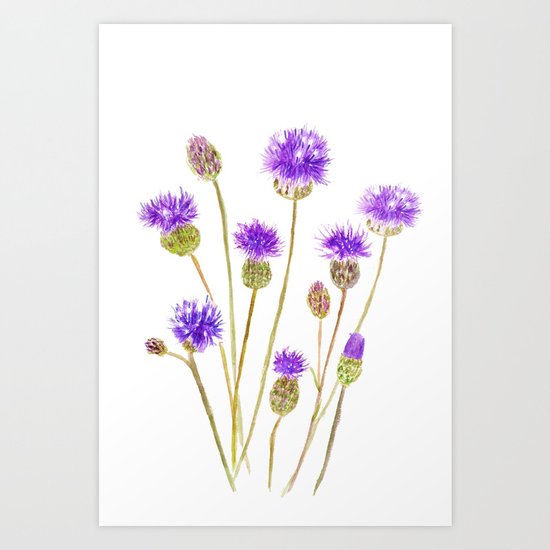 purple thorny wildflower Art Print