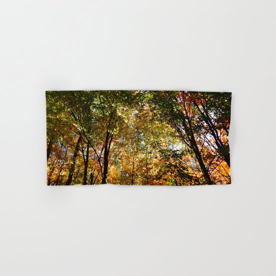 Through the Trees in October Hand & Bath Towel