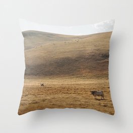 Golden Hour in the Fields | Nature and Landscape Photography Throw Pillow