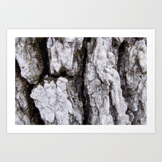 Zoo Art Print