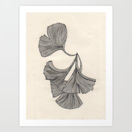 Ginkgo Leaves Art Print