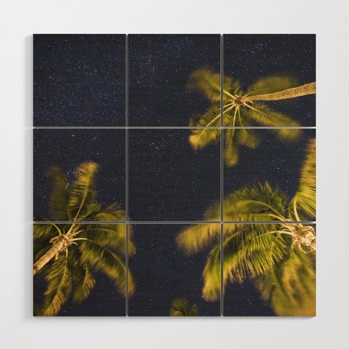 Palm trees at night against starry sky Wood Wall Art