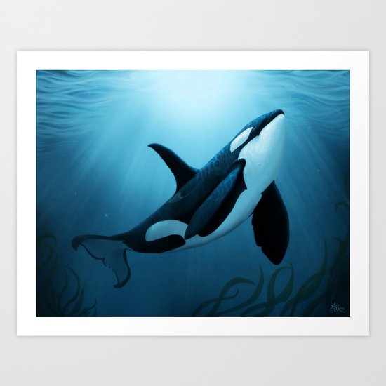 "The Dreamer" by Amber Marine ~ Orca / Killer Whale Art, (copyright 2015) Art Print