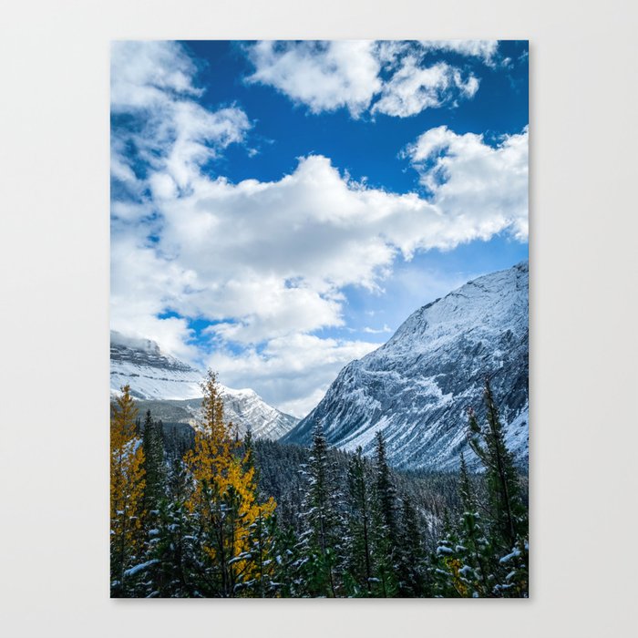 Forest Fire Canvas Print