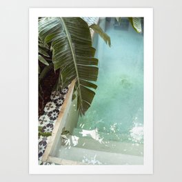 Tropical Riad Pool in Marrakech | Botanical Art Print in Color | Banana Plant Leaves by the Water Art Print