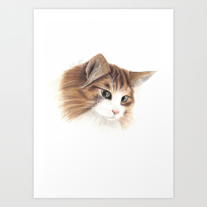 Norwegian Forest Cat Art Print