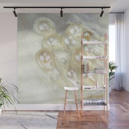 Shimmery Pearly Abalone Shell Wall Mural