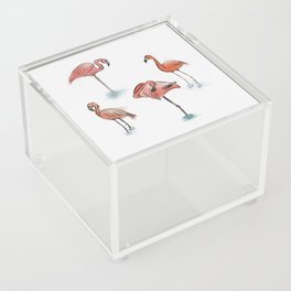 Watercolor and ink flamingo flock sketches Acrylic Box