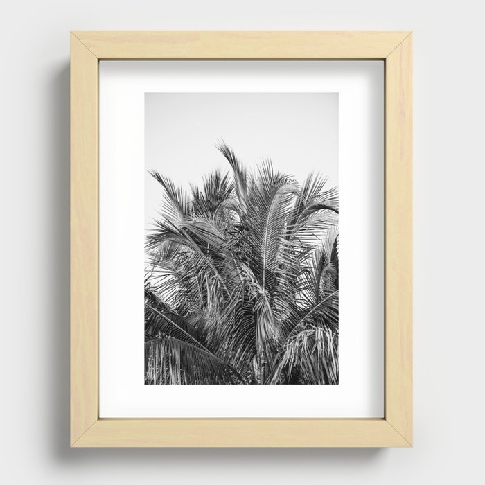 Tropical Black And White Photograph - No 13 Recessed Framed Print