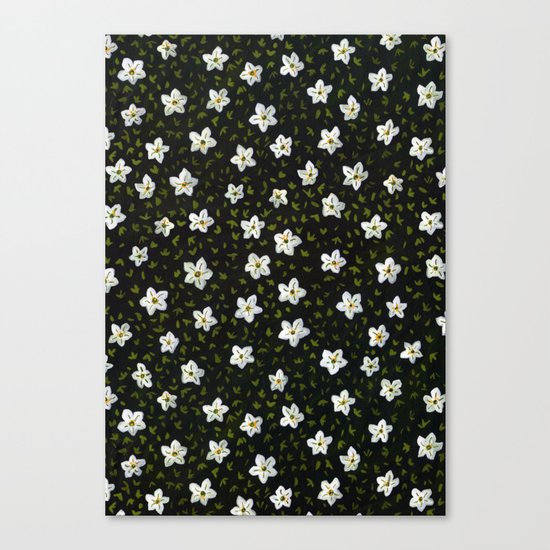 White Spring Flowers Canvas Print