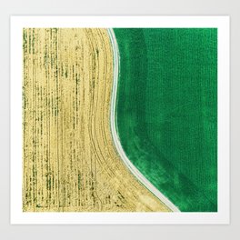 Divided Crops Art Print