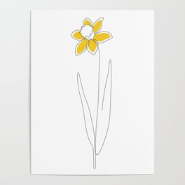 Mustard Daffodil Poster