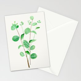 Eucalyptus Stationery Cards