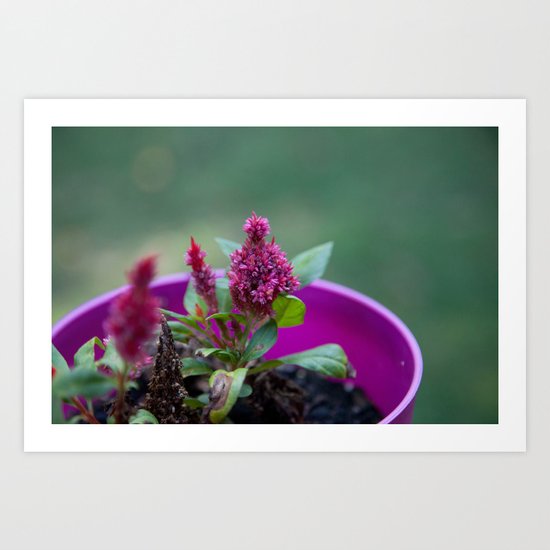 Purple Art Print