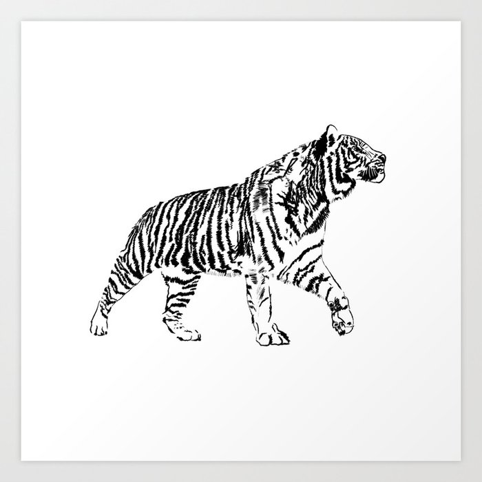 black and white tiger sketch Art Print