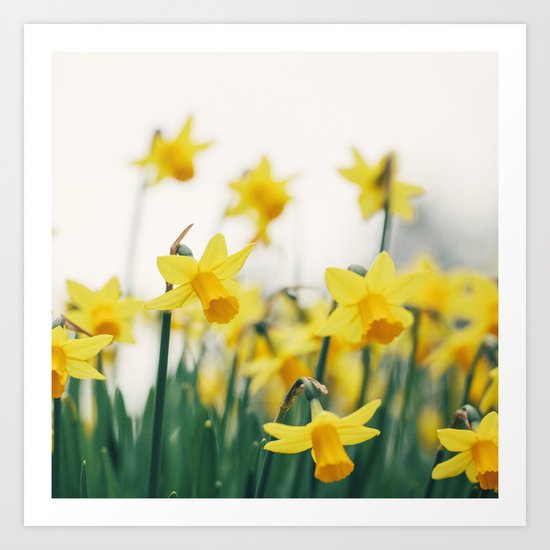 Sprung Art Print