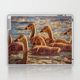 Baby Swans 2 Laptop Skin