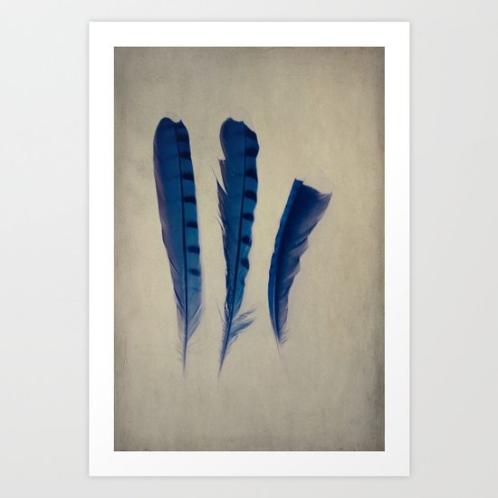 Feathers of Three Art Print