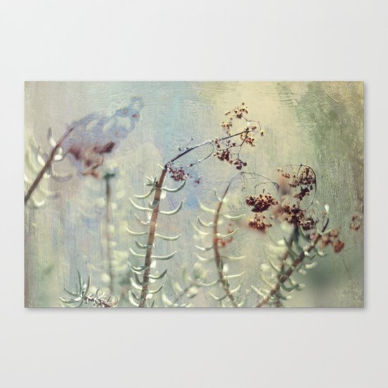 botanical dream Canvas Print